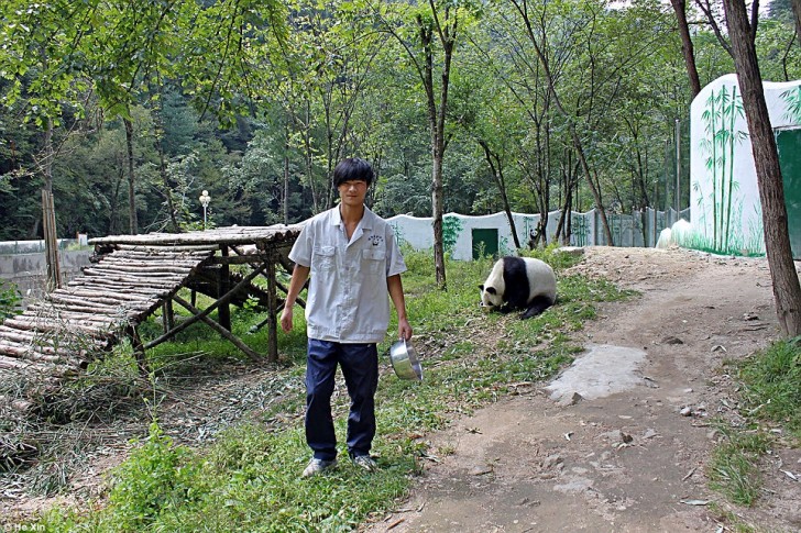 Pour prendre soin de Qizai, il y a He Xin, un jeune homme de 26 ans originaire de Foping qui veille sur lui depuis deux ans.