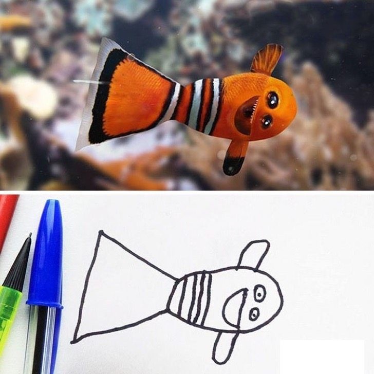 Nous ne sommes pas sûrs qu'il s'agisse de Nemo ...