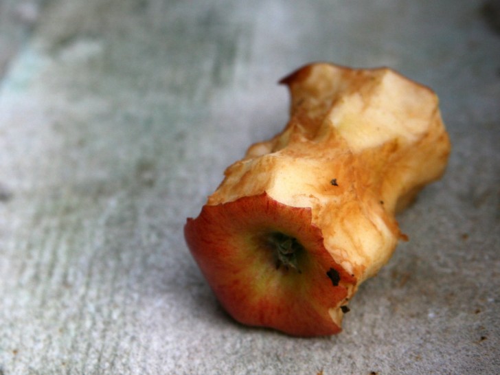 1. Torsolo e semi di mela