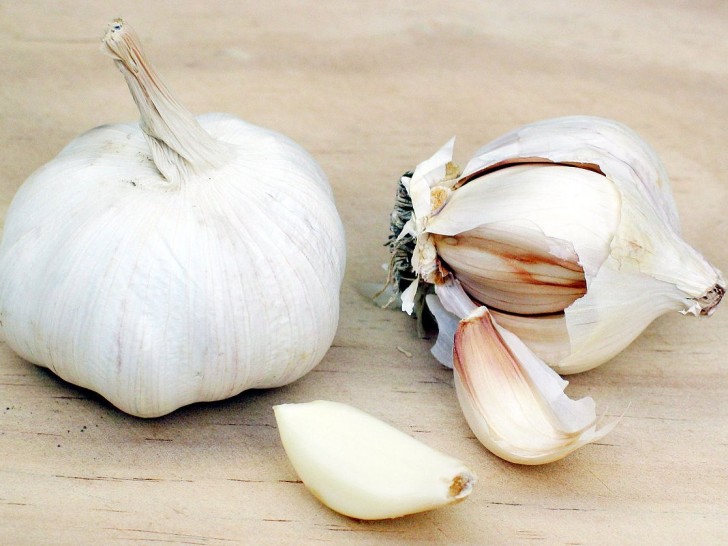 3. Knoflook kan je trouwe vriend op vier poten niet alleen maagproblemen bezorgen, maar ook bloedarmoede. Deze opmerking geldt ook voor katten...