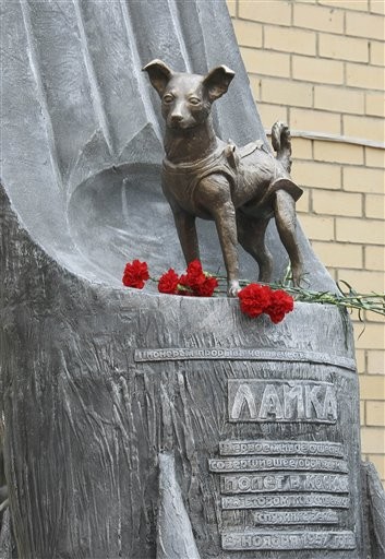 Pendant 45 ans, les autorités russes ont soutenu que Laika était morte sereinement après 4 jours en orbite mais la réalité était différente...