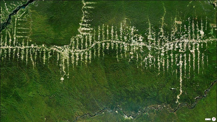 Deforestazione della foresta amazzonica in Brasile.