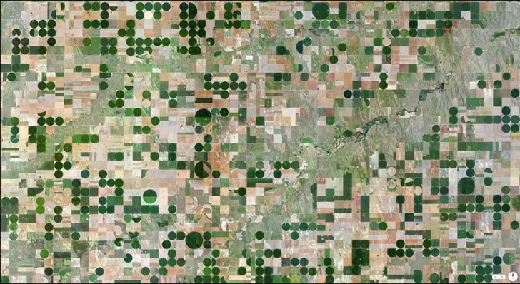Les champs cultivés de la communauté autonome d'Edson, Kansas, USA.