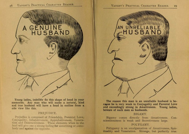 A confronto la "testa" di un bravo marito (a sinistra), da quella di uno ritenuto inaffidabile (a destra).