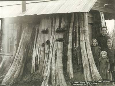 Le case nei tronchi divennero sistemazioni temporanee che permettevano ad alcune famiglie di vivere mentre costruivano vere e proprie case.