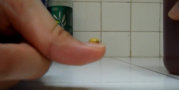 Test 3: Gebt den Honig auf eure Fingerspitze und ...