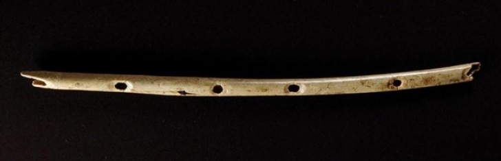 13. Een fluit gemaakt van botten gevonden in Zuid-Duitsland (van 4,000 jaar geleden)