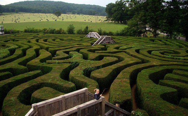Vale la pena di visitare Longleat e non solo per la presenza del labirinto più lungo del mondo...
