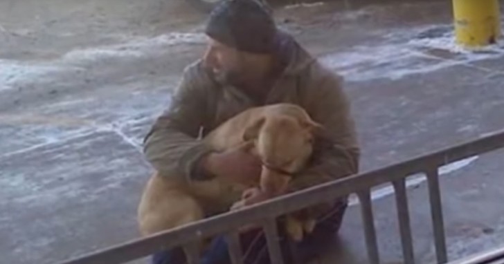 Mosso a compassione del povero cane, l'uomo si è seduto vicino a lui e lo ha preso fra le braccia per scaldarlo un po' ed evitare che congelasse.