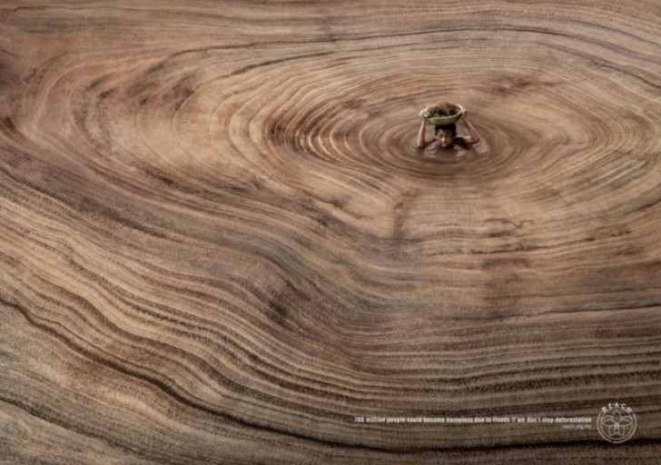 15. La deforestazione colpisce anche l'uomo, non solo la Natura
