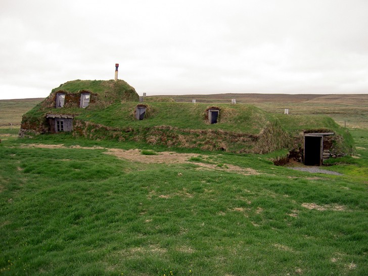 Ai tempi dei primi insediamenti in Islanda il 30% del Paese era ricoperto da foreste, soprattutto di betulle...
