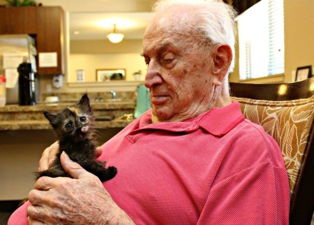 I primi ad essere entrati nella casa di riposo sono stati Peaches e Turtel, un gattino rosso ed uno nero.
