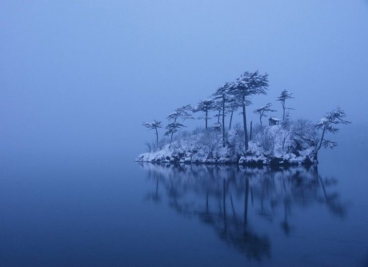 1. L'isola degli Alberi Innevati