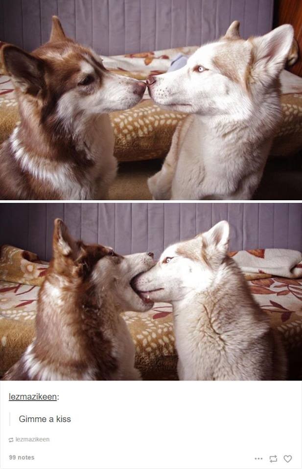 Geef me een kus!