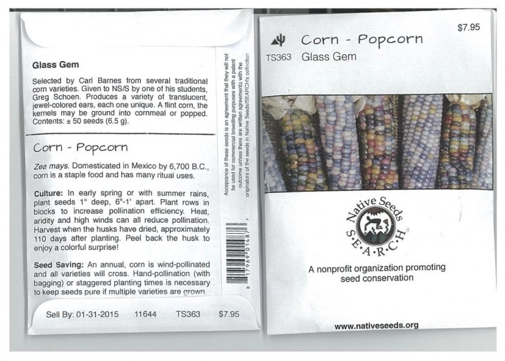 I semi delle Glass Gem Corns si possono acquistare on line a soli 7,95$ a confezione.