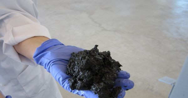 Trasformare i liquami in petrolio: un gruppo di ricercatori scopre come fare - 1