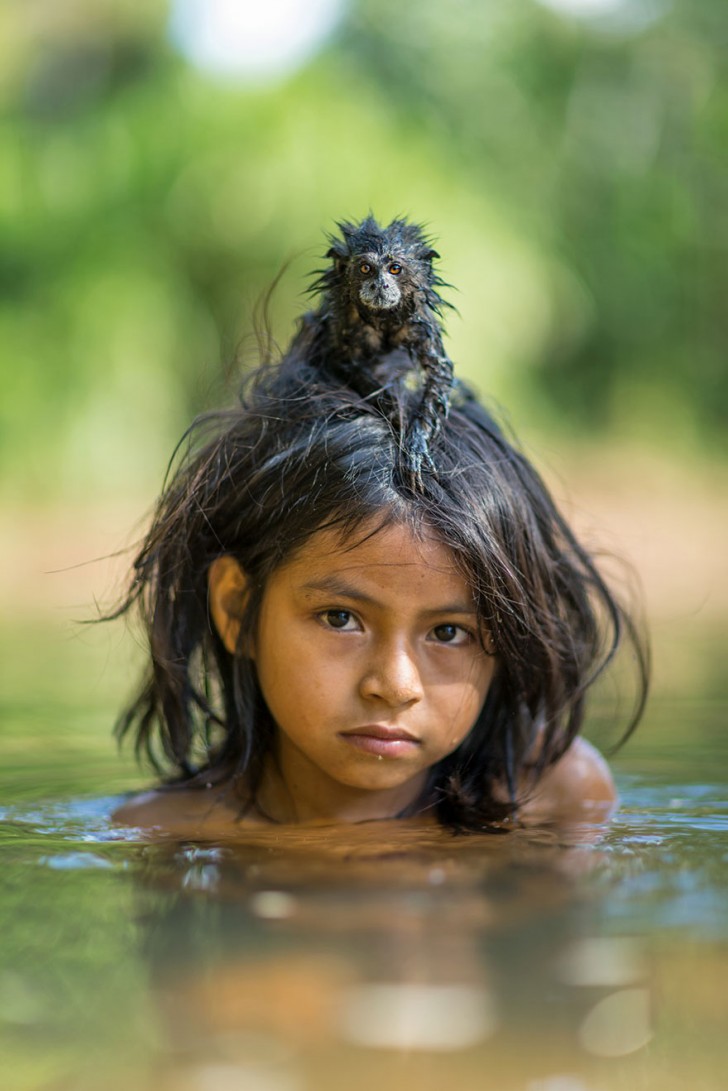 Un petit singe tamarin sur la tête de son ami Yoina Mameria Nontsote dans le parc national de Manu, au Pérou.