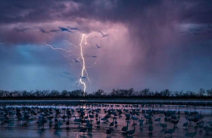 Een bliksemschicht tijdens een nachtelijke storm verlicht de hemel boven Wood River in Nebraska, gezien door 413,000 kraanvogels.