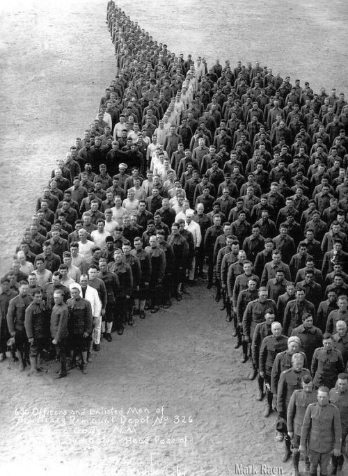 Centinaia di soldati omaggiano gli 8 milioni di cavalli, muli e asini che sono morti nella Prima Guerra Mondiale