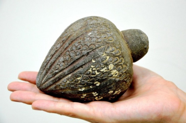 Een granaat uit de 12 eeuw. Hij werd gevuld met brandbare vloeistof en net als een Molotovcocktail gegooid.