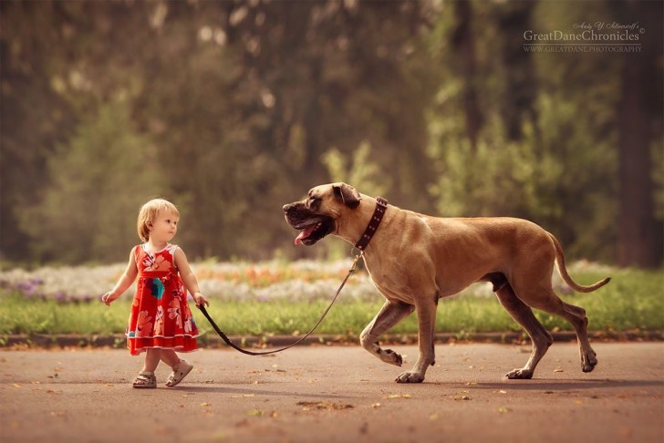 "Ho solo scattato foto a cani dal comportamento mite, cani in grado di relazionarsi in modo aperto e genuino sia verso adulti sia verso bambini".