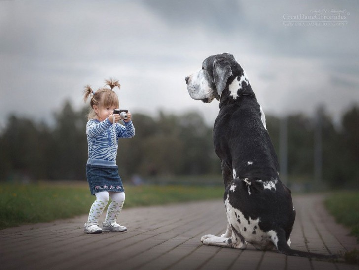 La maggior parte dei bambini ritratti nelle immagini non supera il metro d'altezza, rendendo la loro vicinanza con i giganteschi cagnoloni ancora più divertente.