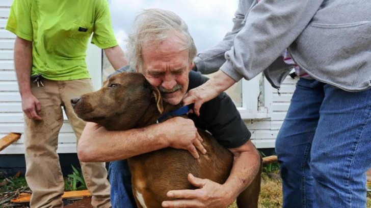 11. Un uomo in Alabama si riunisce con il suo fedele compagno dopo una serie di devastanti tornado (Marzo 2012)