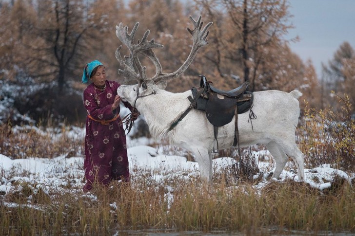 Purev coccola spesso le sue renne, in questo caso una dal candido manto bianco, a pochi passi dal vicino lago.