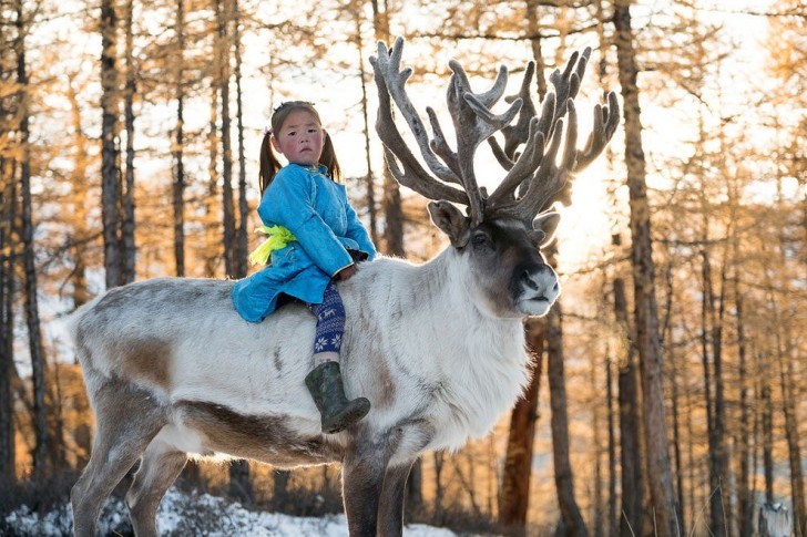 Uchraa, anche se molto giovane, è stata perfettamente istruita a cavalcare le sue renne.