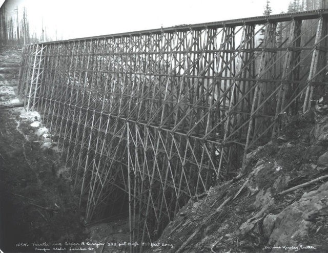 Un vero e proprio muro di legno alto più di 60 metri, questo è il gigantesco ponte di legno del fiume Cedar, nello stato di Washington.