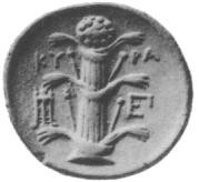 Durant la Grèce antique, par contre, on avait recours à la tisane de silphium, une espèce de fenouil géant, tellement utilisé à l’époque qu'il coûtait une fortune, aujourd'hui il n'existe plus.