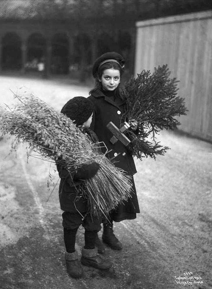 15. Bambini svedesi portano a casa le decorazioni natalizie prese dai campi.