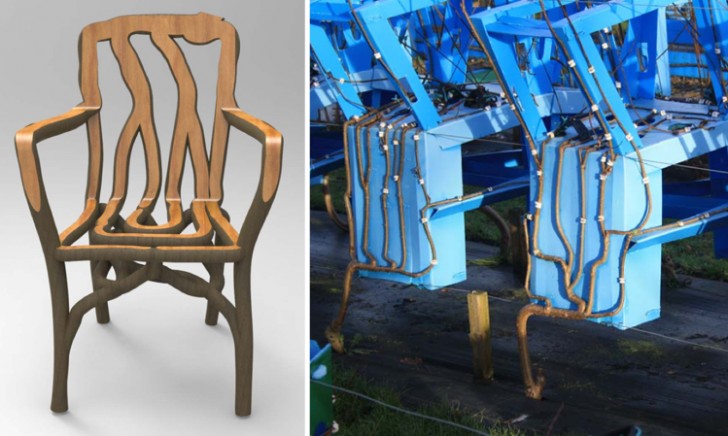 L'idée de «cultiver » des meubles provient de son enfance: Munroe avait chez lui un bonsaï dont la forme lui faisait penser à une chaise.
