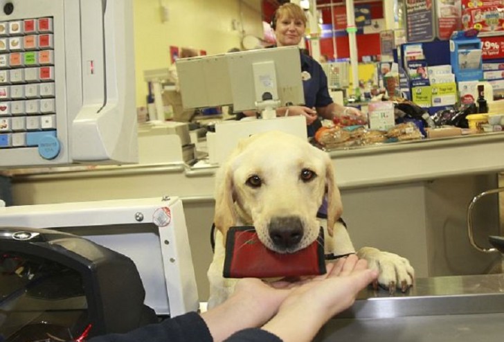 Avoir un chien comme Byron à ses côtés est très important pour les personnes souffrant de problèmes de santé.