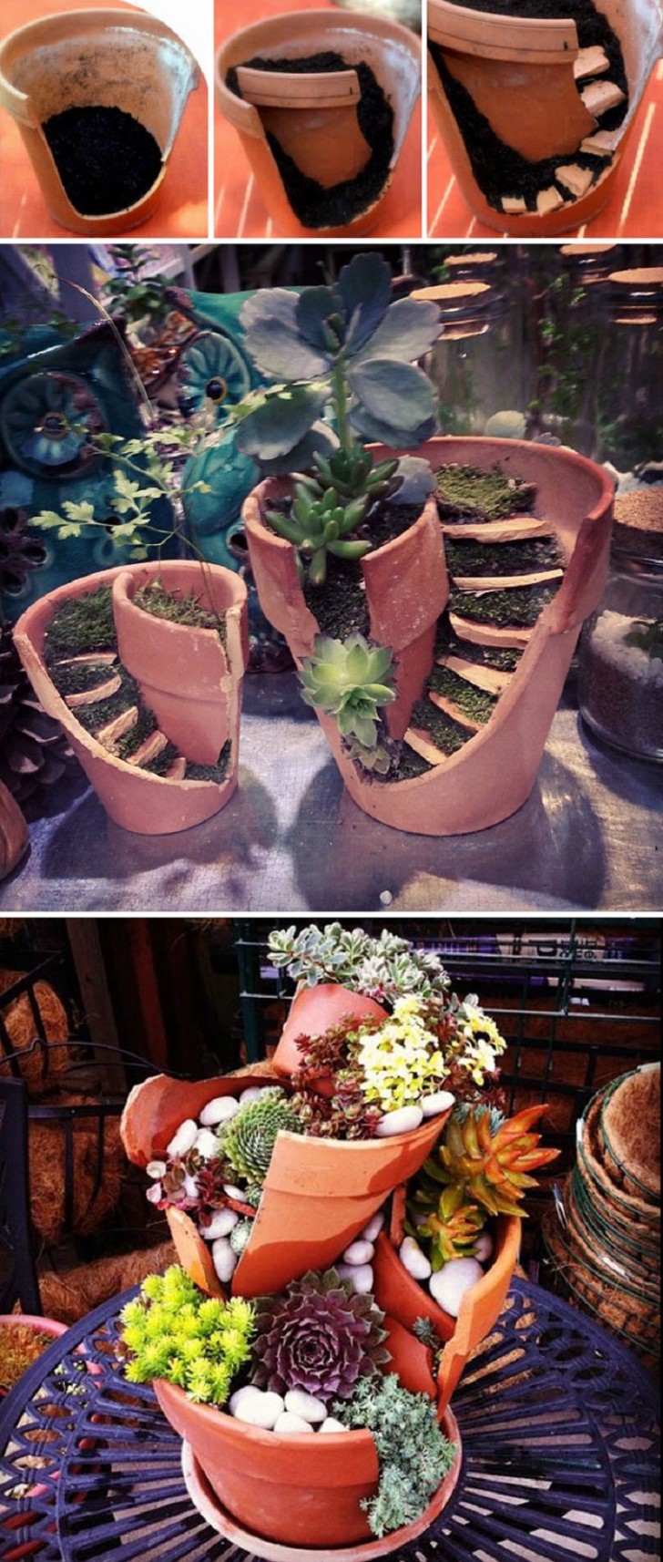 3. Un vaso rotto diventa improvvisamente un piccolo giardino a sé stante!