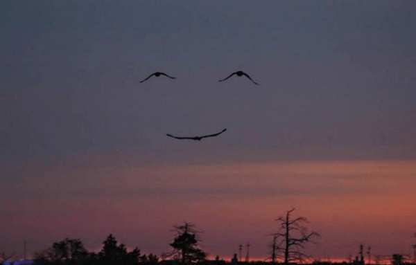 7. Un volto sorridente all'orizzonte!