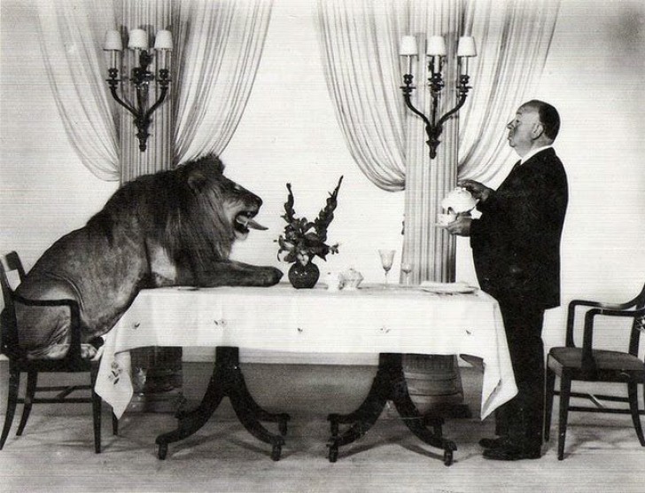 1. Horrorregisseur Alfred Hitchcock drinkt thee met een leeuw, de mascotte van de filmstudio Goldwyn Mayer!