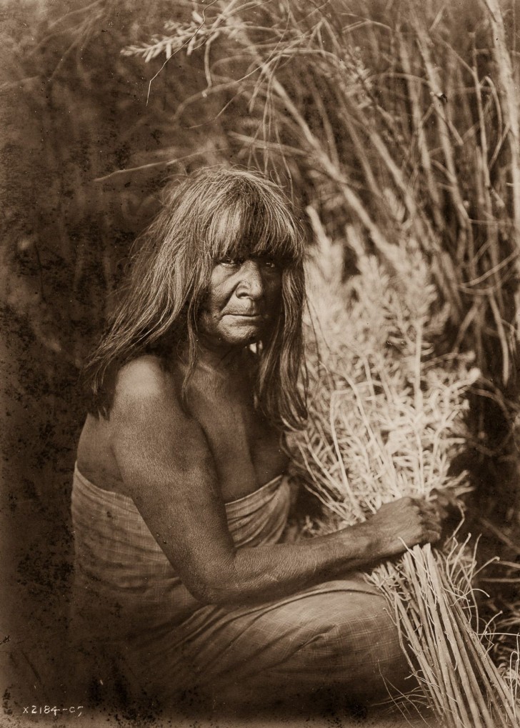 24. Une femme Maricopa avec des herbes sauvages, 1907