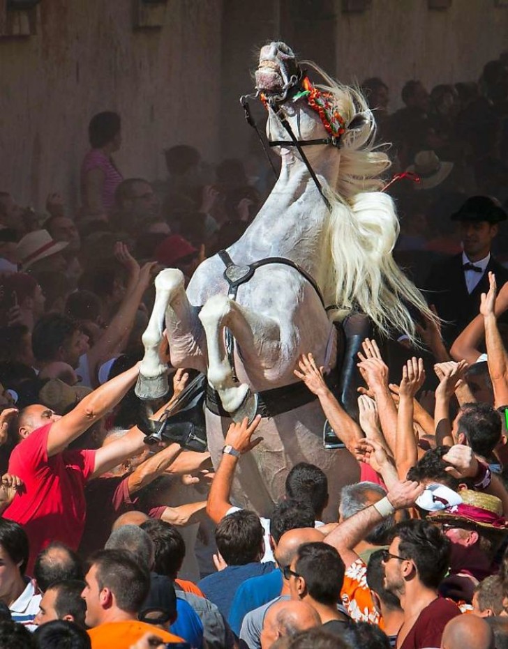 9. Un cavallo si impenna in mezzo alla folla