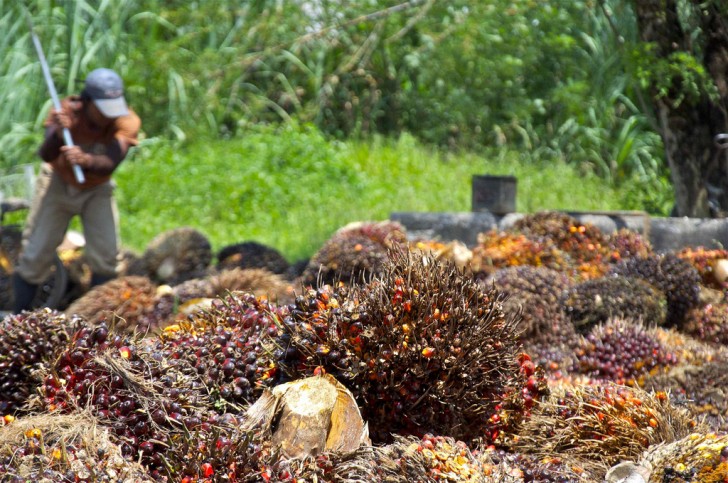 L'huile de palme est soumise à des températures élevées pour enlever la couleur rouge naturelle et neutraliser l’odeur.