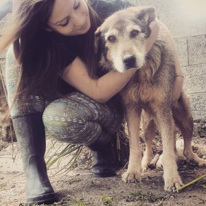 La ragazza ospitava in casa già altri cani anziani o disabili con i quali Lupo ha stretto subito amicizia.