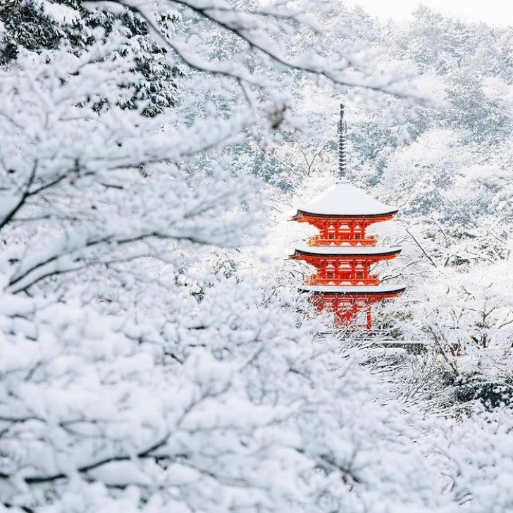 Il rosso della struttura del tempio di Tempio di Kiyomizu è evidenziato dal bianco della neve circostante.
