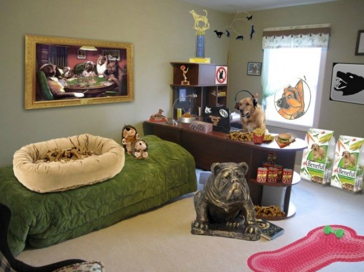 2. « mon père m’a dit que le chien déménagerait dans ma chambre dès que j'irais à l'université. Plus tard j’ai reçu cette photo. »