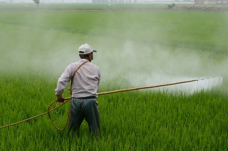 Negli ultimi anni i paesi sviluppati hanno promosso l'utilizzo dei pesticidi nei paesi più poveri: il risultato è stata una vera e propria intossicazione delle popolazioni e dell'ambiente.