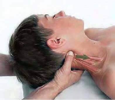 Pour masser le cou, soulevez légèrement la tête de la personne, afin d’y placer la main entre la tête et le matelas.