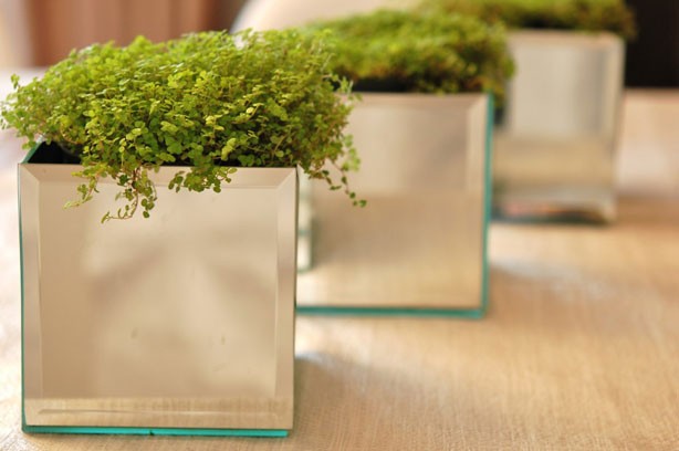 These plant pots were made with the square glass mirrors.