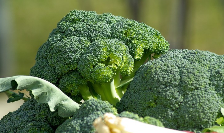 En tête, le brocoli chinois, avec environ 92% des échantillons irréguliers.