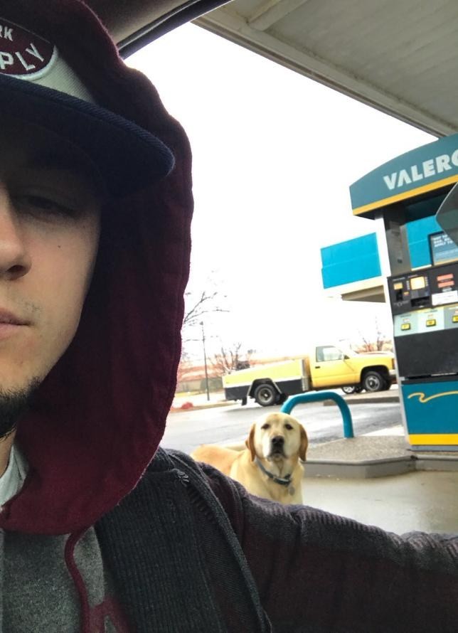 Tyler avait vu le chien errant seul depuis déjà deux semaines, ainsi, quand il l'a remarqué à la station essence, il pensait qu'il s'agissait d'un chien errant et a décidé de voir s'il pouvait faire quelque chose pour lui.