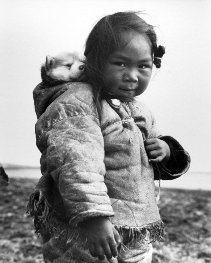Una dolce bambina Inuit ed il suo cucciolo Husky, foto del 1949.