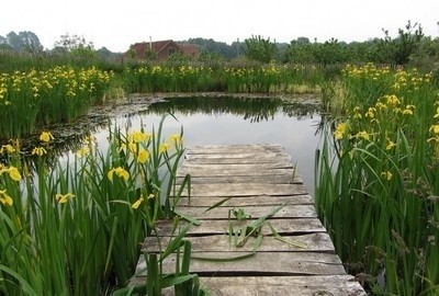Les piscines organiques valorisent une maison et donnent la possibilité de vivre en contact étroit avec la nature.